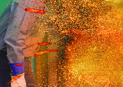 Safety First: Arc Flash 101