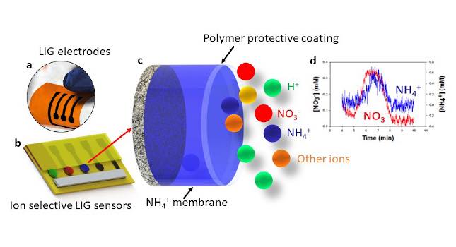 biodegradable and recyclable sensors that can