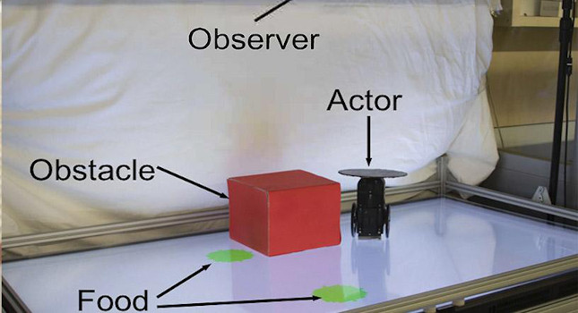 while an observer machine learns to predict the actor robot's behavior purely through visual observations. Although the observer can always see the green foods