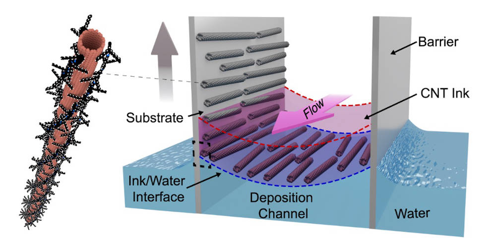 UW-Madison engineers have worked out a method to make orderly sheets of 2-dimensional carbon nanotubes by aligning them between layers of water and a solvent “ink.” Courtesy: Arnold Lab, UW-Madison