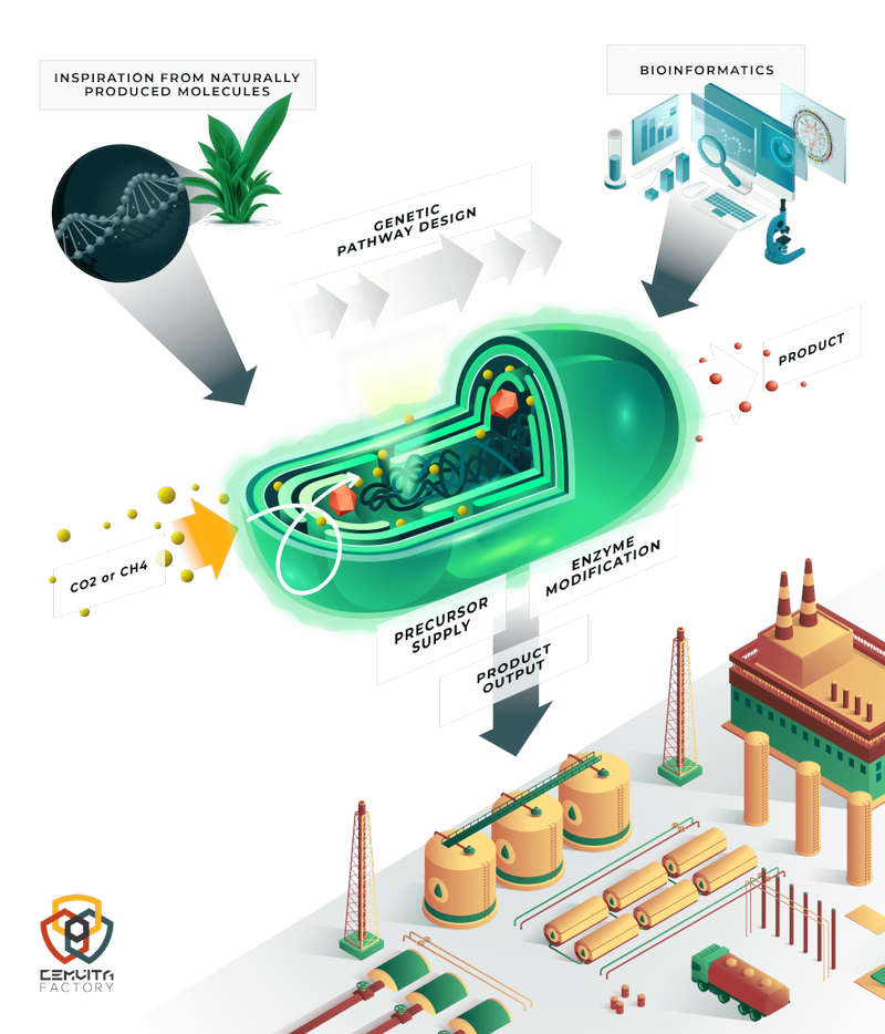 Figure 3: Biological conversion and upgrading of CO2. Courtesy: Cemvita