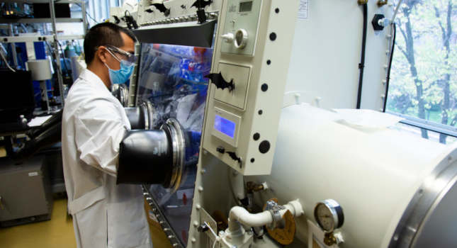 materials science and engineering Ph.D. candidate