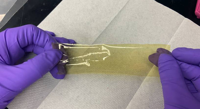 this thin film and others like it could help reduce pollution and remove greenhouse gases from the air. Courtesy: Columbia University