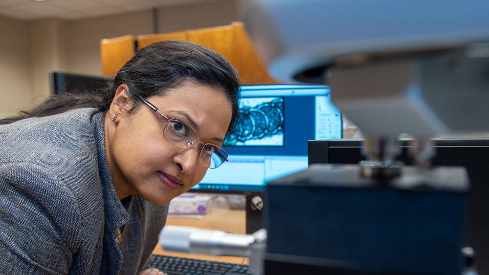 Sabrina Nilufar, assistant professor in the SIU School of Mechanical, Aerospace, and Materials Engineering, is working on ways to more easily and efficiently construct so-called “sandwich” materials used in everything from automotive to marine and aerospace applications. Courtesy: Russell Bailey, Southern Illinois University
