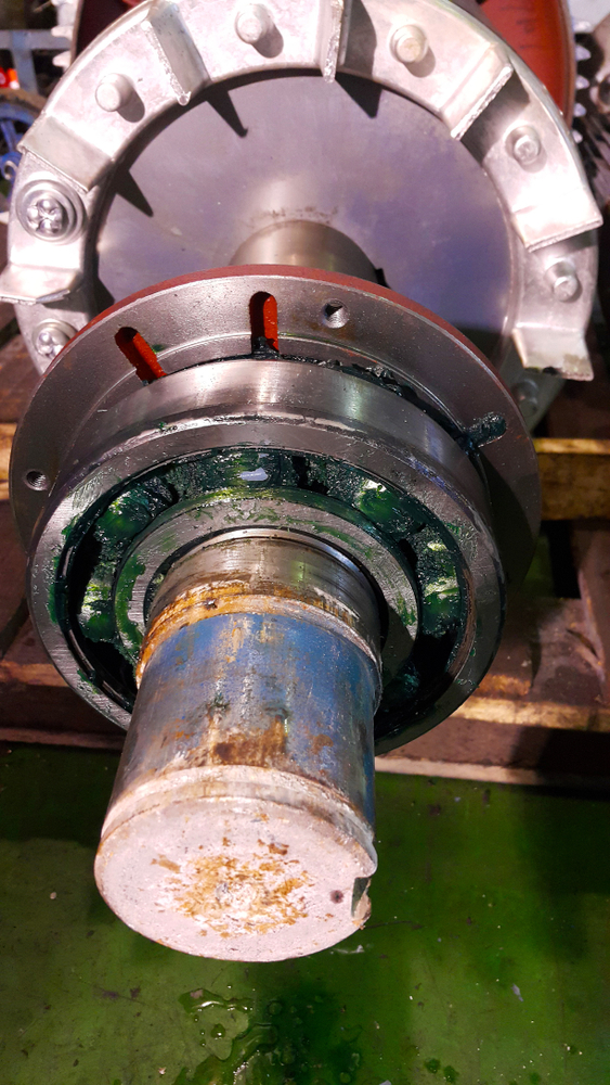 Figure 3: This bearing displays the results of high running temperatures commonly associated with over-greasing. When the dropping point is reached, the grease begins to bleed, the bearing runs dry and eventually fails. Courtesy: CITGO Petroleum