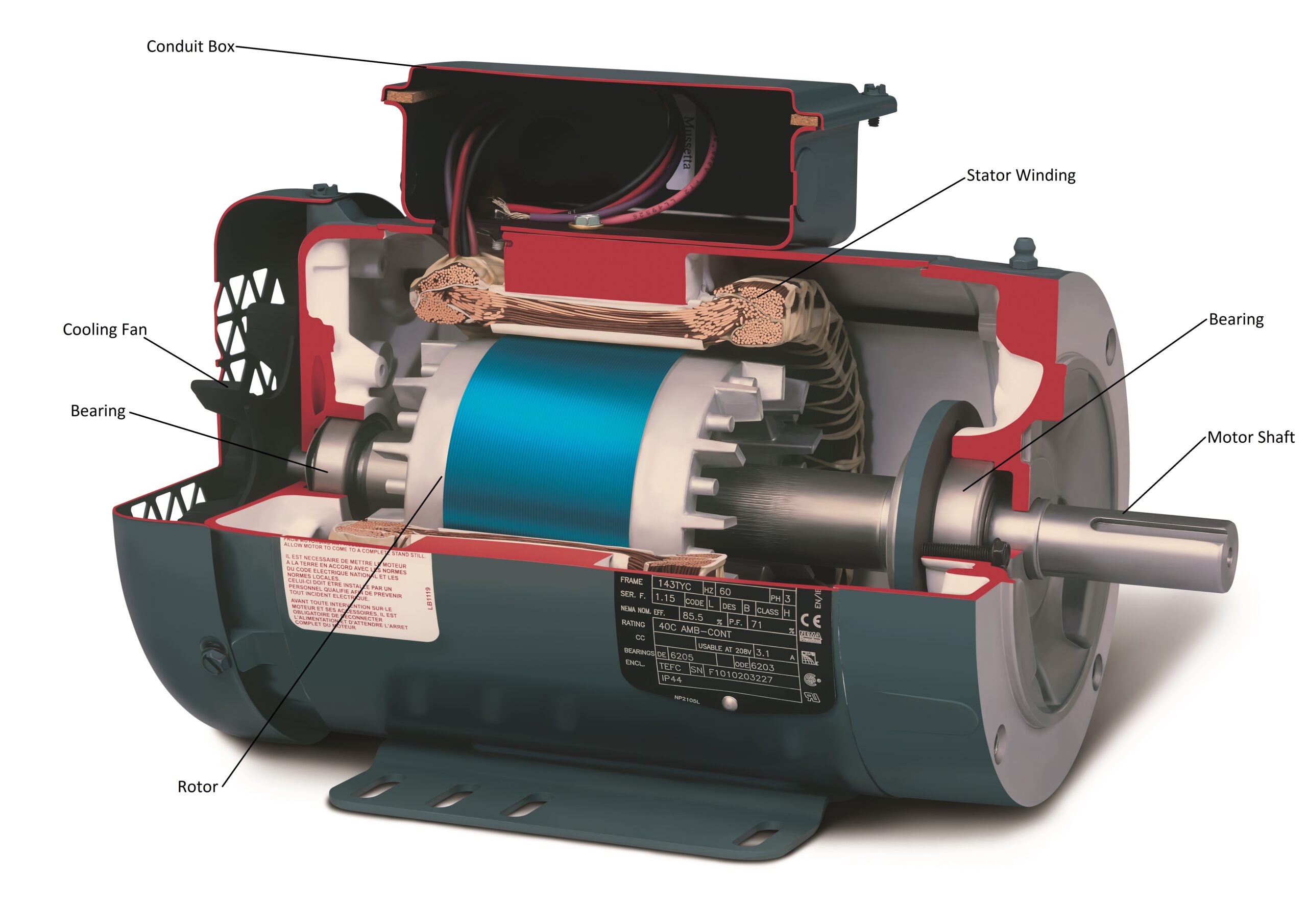 Figure 4: Cutaway view of an induction motor. Courtesy: ABB